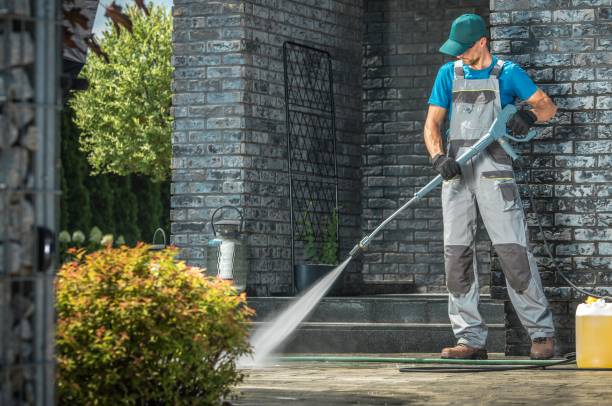 Best Soft Washing  in Bensenvle, IL